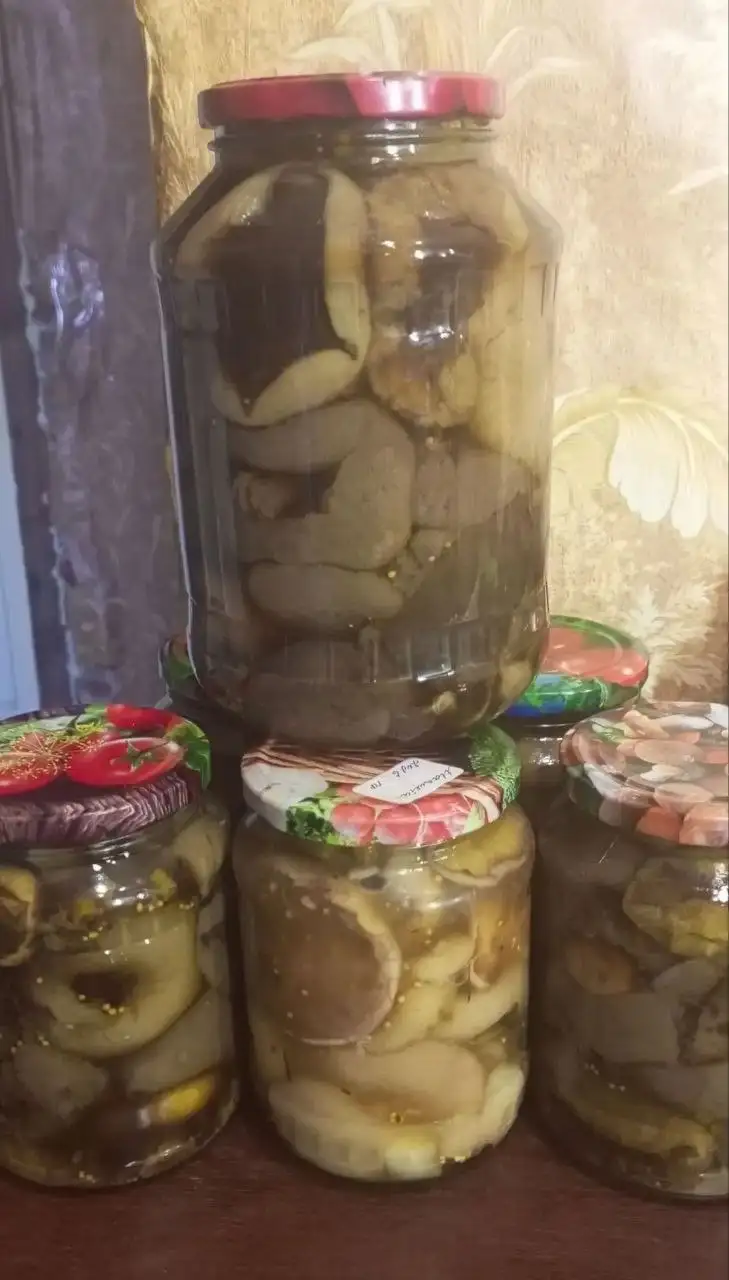 Продажа маринованных маслят, сушёных боровиков и солёных подгруздков - Барахолка в Орск