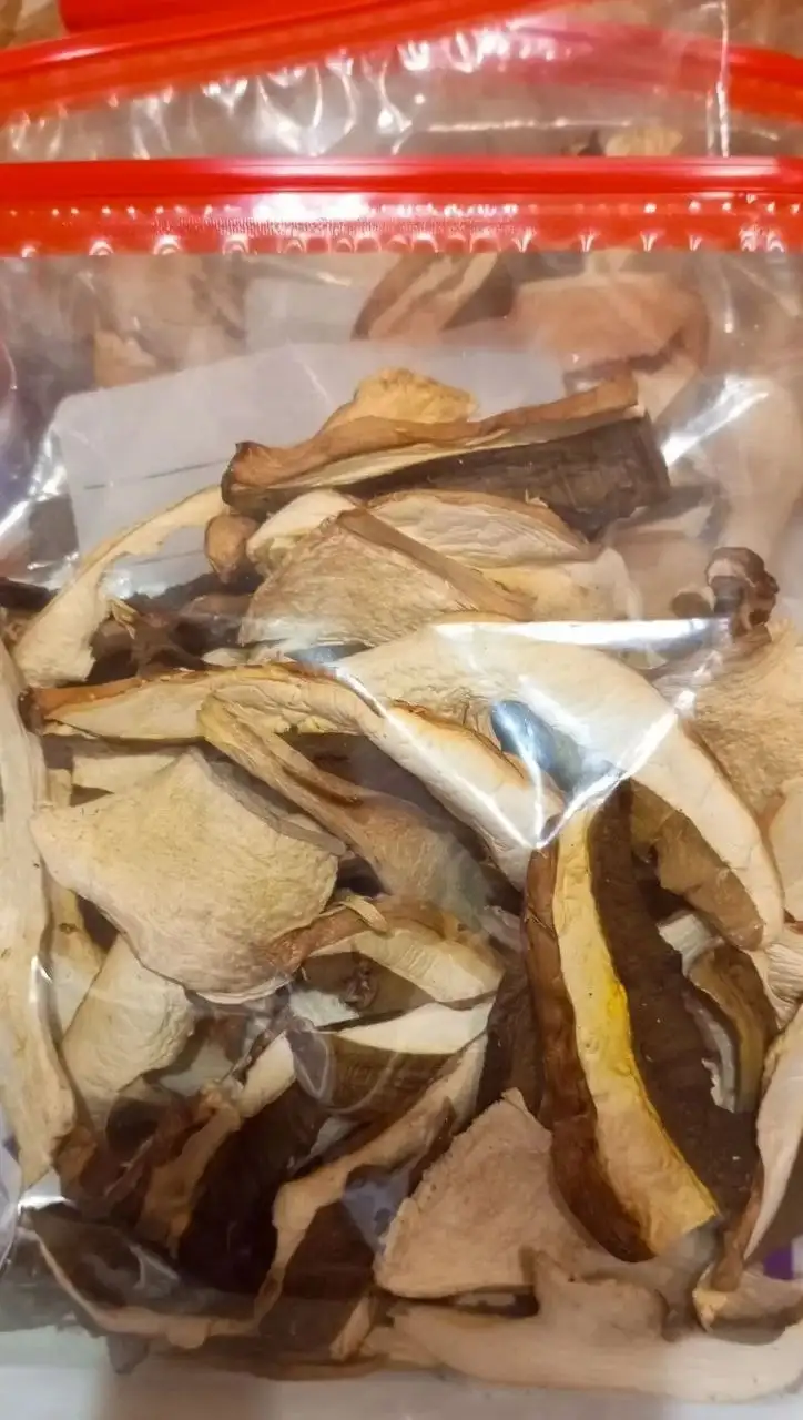 Продажа маринованных маслят, сушёных боровиков и солёных подгруздков - Барахолка в Орск