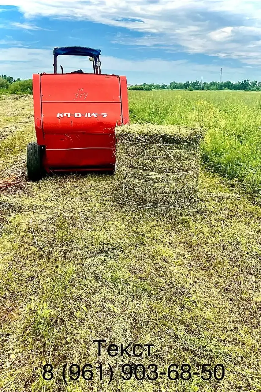 Продам луговое сено - Для дома и дачи в Новоорск