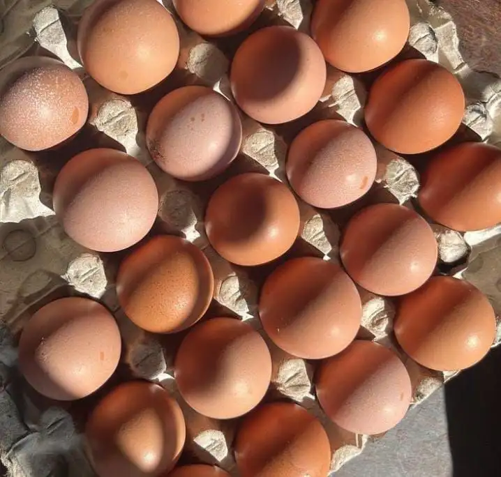 Яйца домашние средние и крупные - Продукты (Барахолка) в Орск
