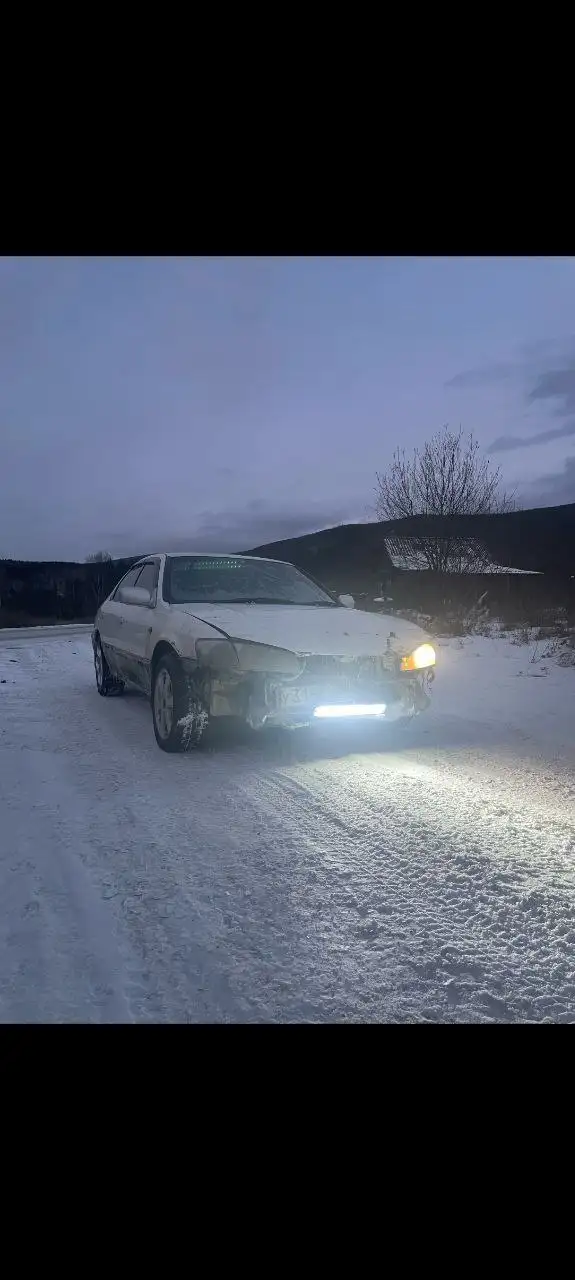 Toyota Camry Gracia 2001 года, битая, снята с учета - Легковые автомобили (Авто) в Иркутск