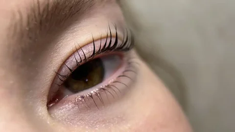 Скидка на первое посещение бьюти-мастера в Красноярске - Красота и здоровье в Красноярск