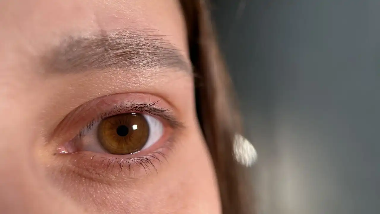 Срочно нужны модели на ламинирование, окрашивание и ботокс