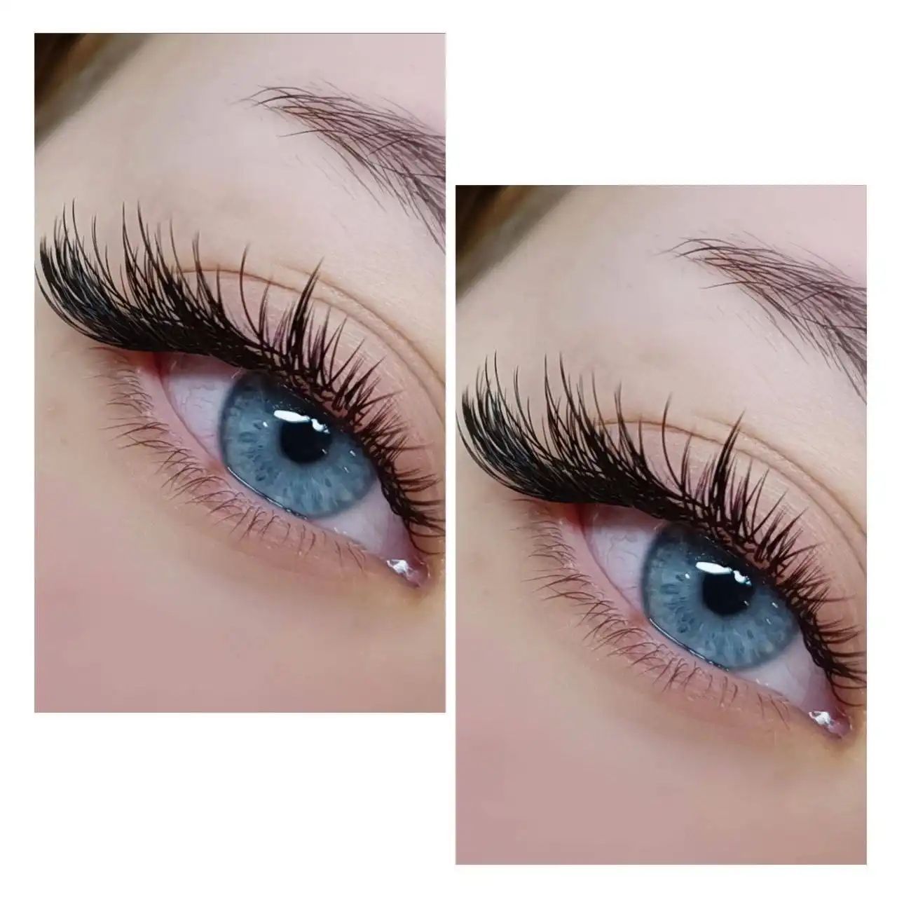 Наращивание ресниц и оформление бровей для отработки техники - Красота (Услуги) в Красноярск