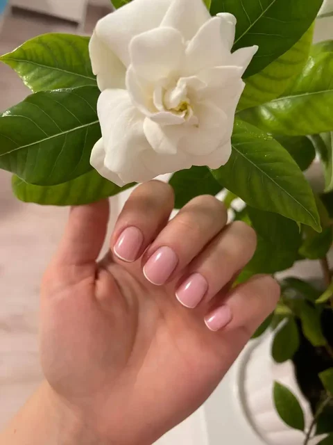 Маникюр все включено - Похудение в Красноярск