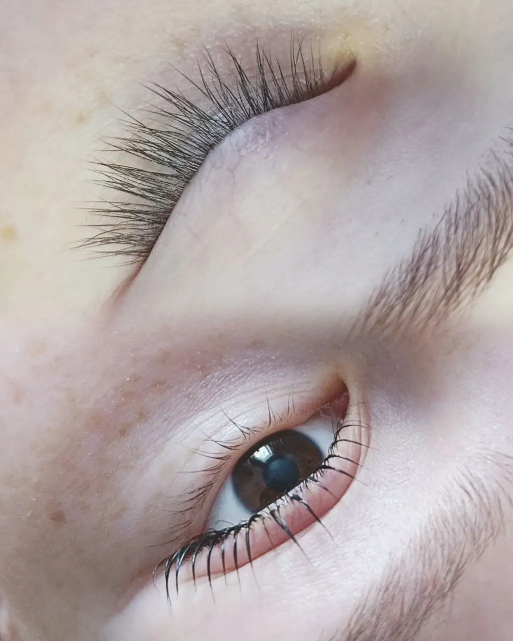 Ламинирование ресниц для моделей - Ламинирование ресниц (Красота и здоровье) в Красноярск