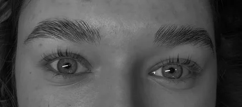 Услуги ламинирования ресниц - Уборка в Красноярск