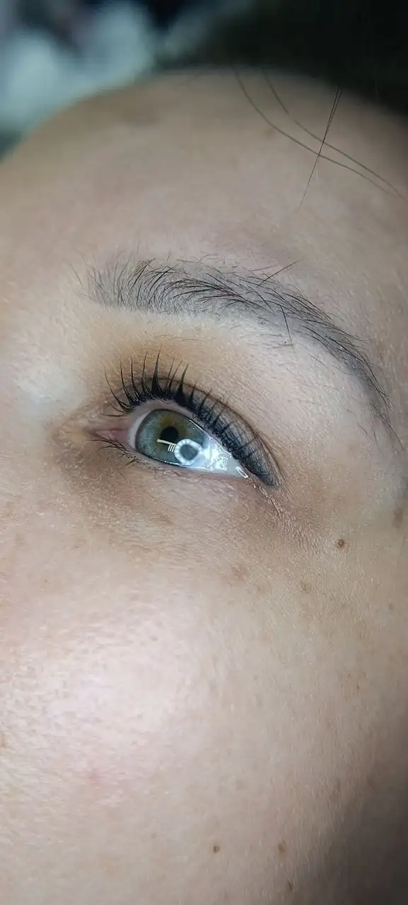 Ламинирование ресниц для моделей - Ламинирование ресниц (Красота и здоровье) в Красноярск