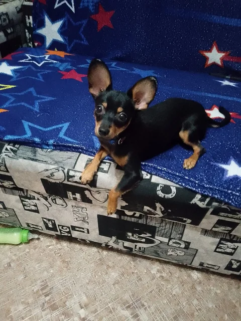 Отдам в хорошие руки - Услуги в Неизвестно