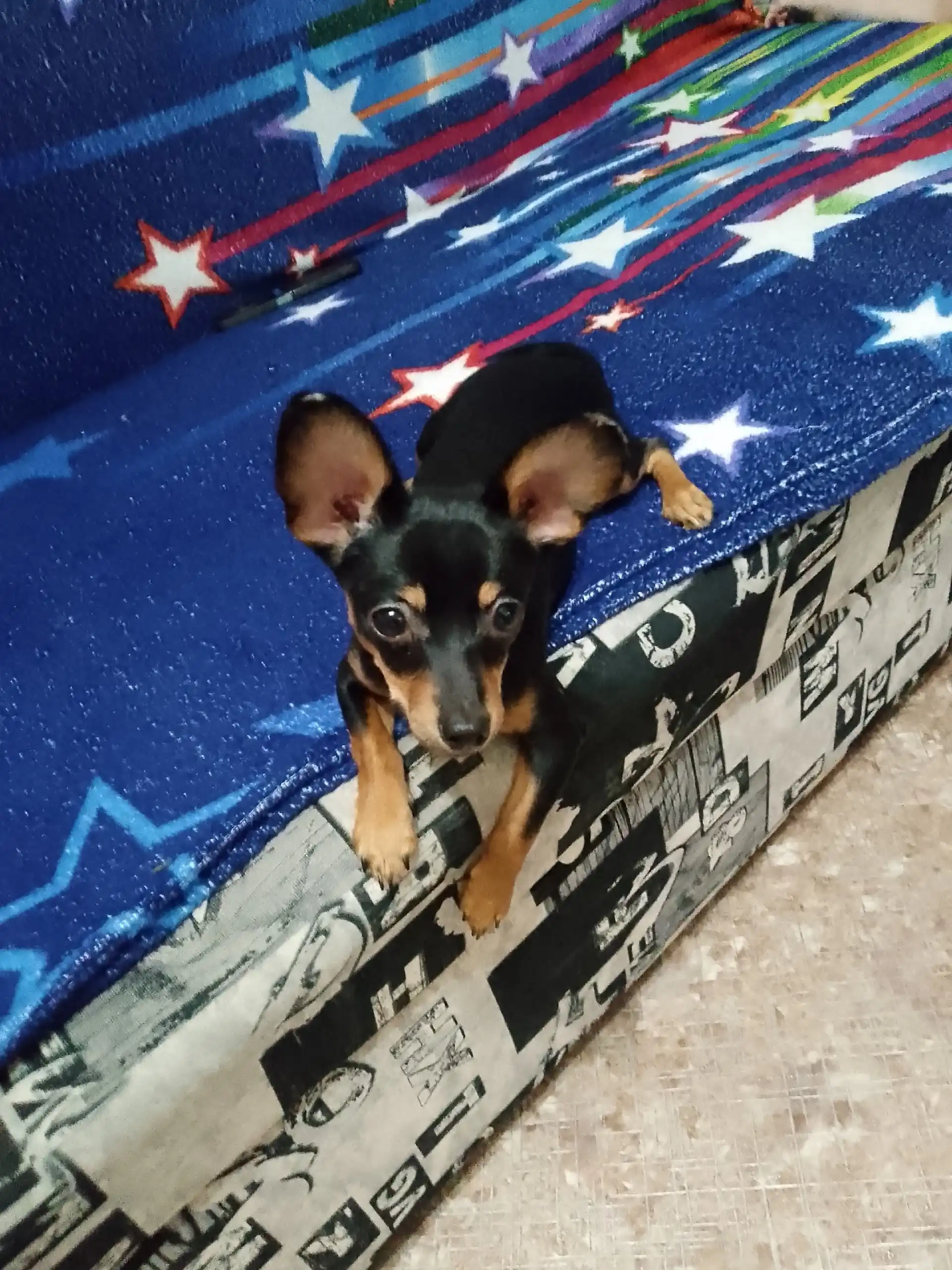 Отдам в хорошие руки