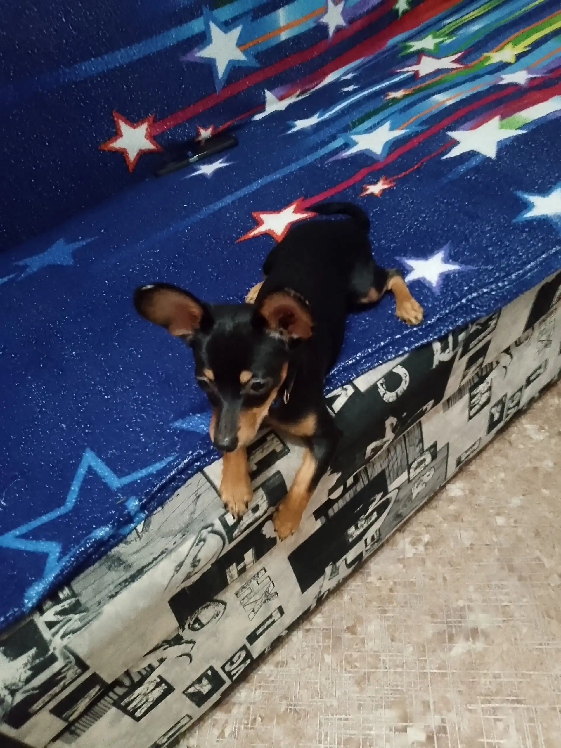 Отдам в хорошие руки