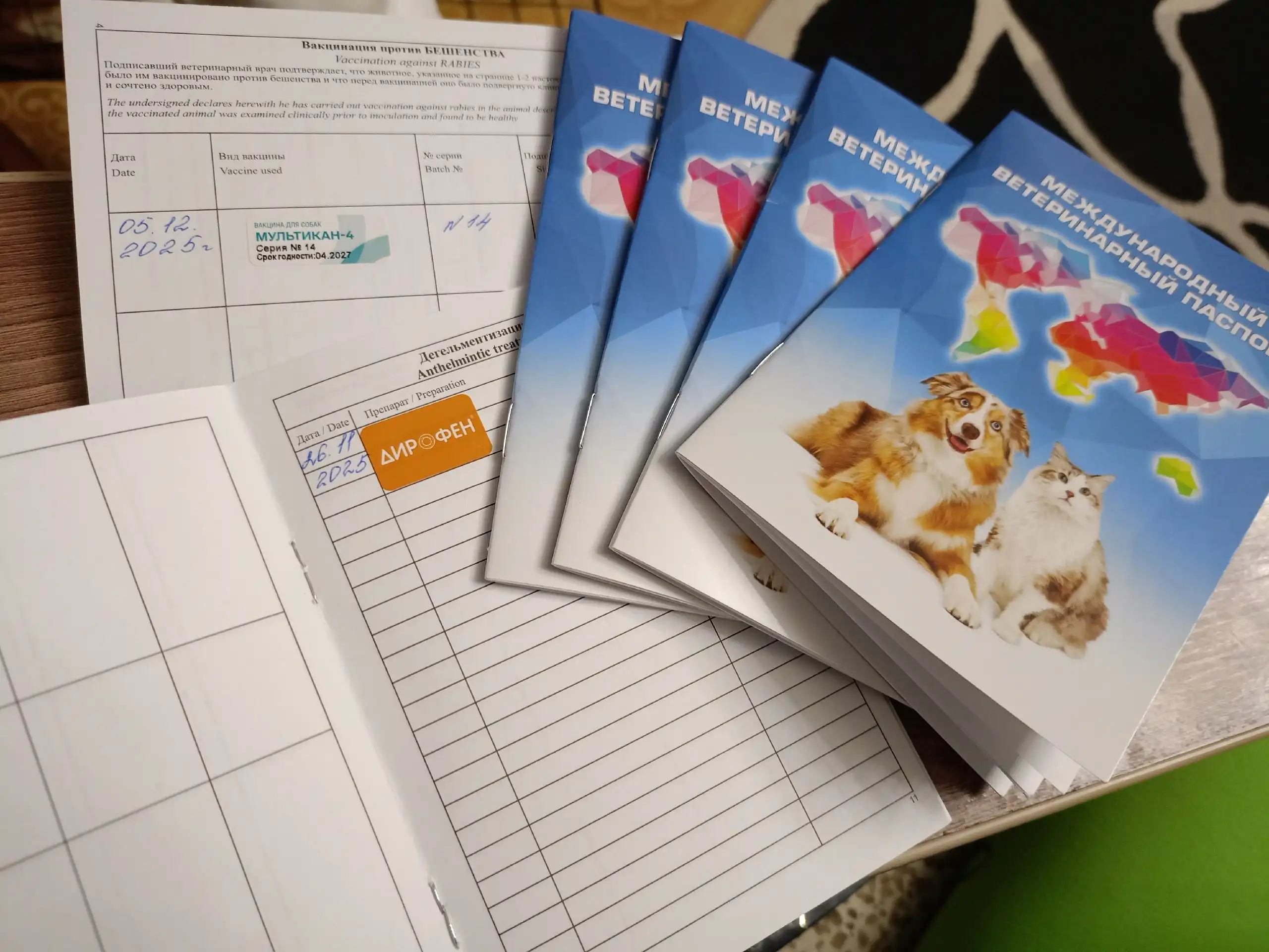 Продажа щенков померанского шпица