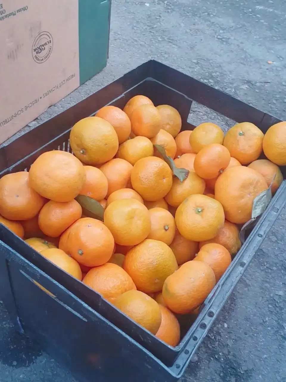 Мандарины из Абхазии с доставкой
