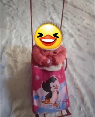 Продажа новых санок Тимка с комплектом - частное объявление в ВОРОНЕЖ