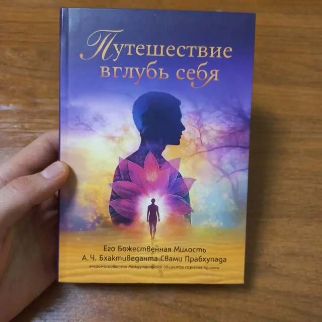 Книга: Путешествие вглубь себя - Мягкие игрушки в ВОРОНЕЖ