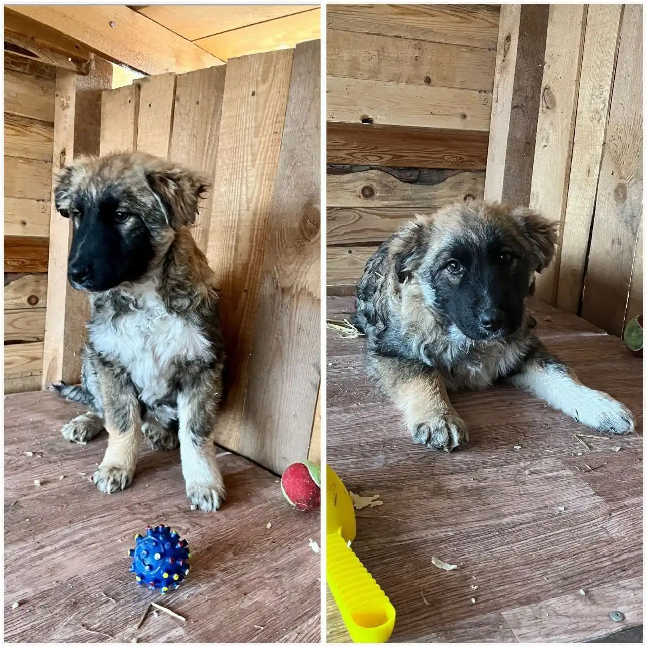 Мальчишка с приюта ищет дом