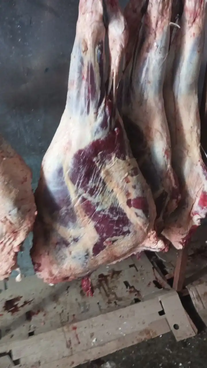 Продажа свежего мяса свинины, телятины и баранины в Красноярске