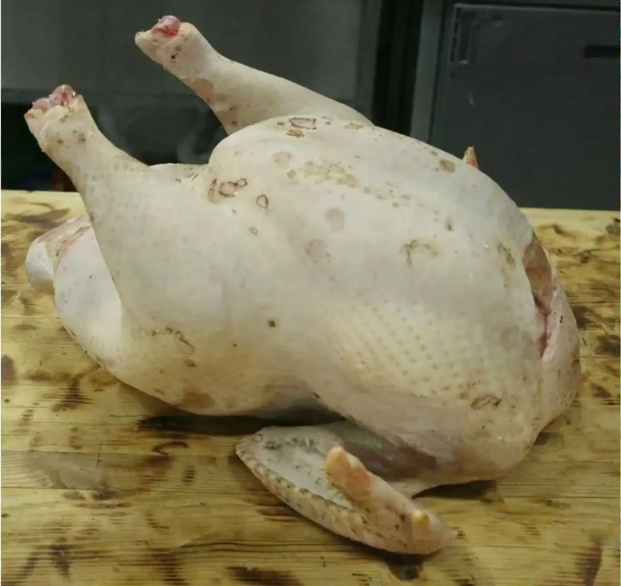 Продажа домашней курочки