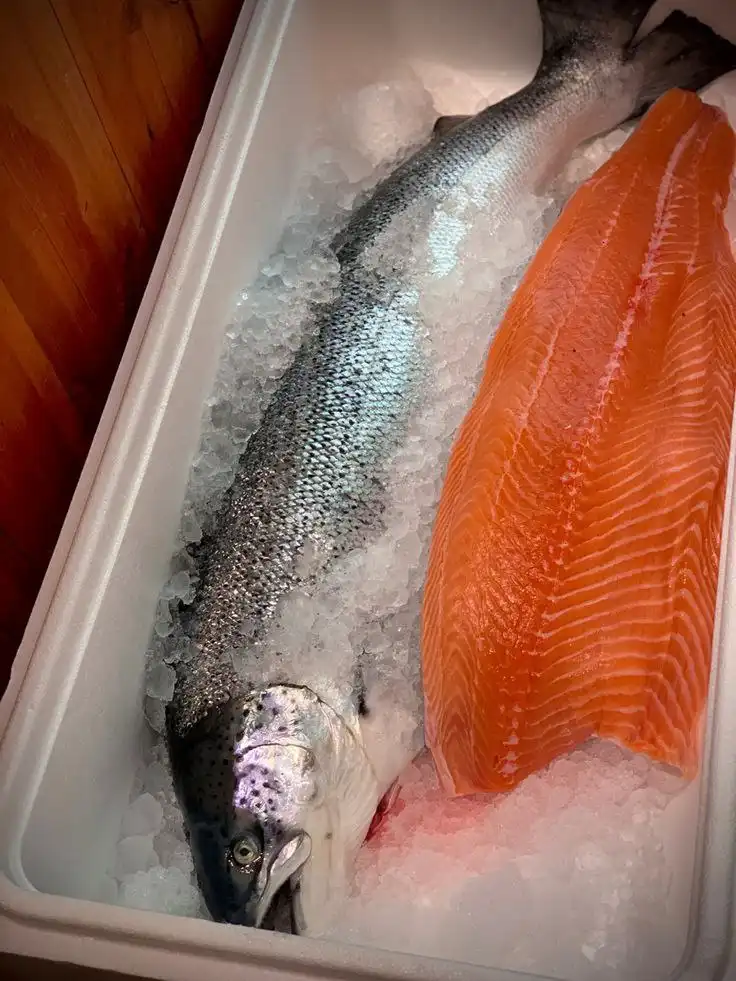 Рыбная компания "Сиверия" предлагает свежую рыбу и морепродукты