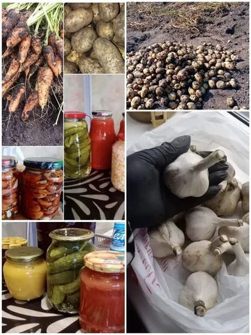 Продажа домашних солений из овощей с огорода - частное объявление в Березовка