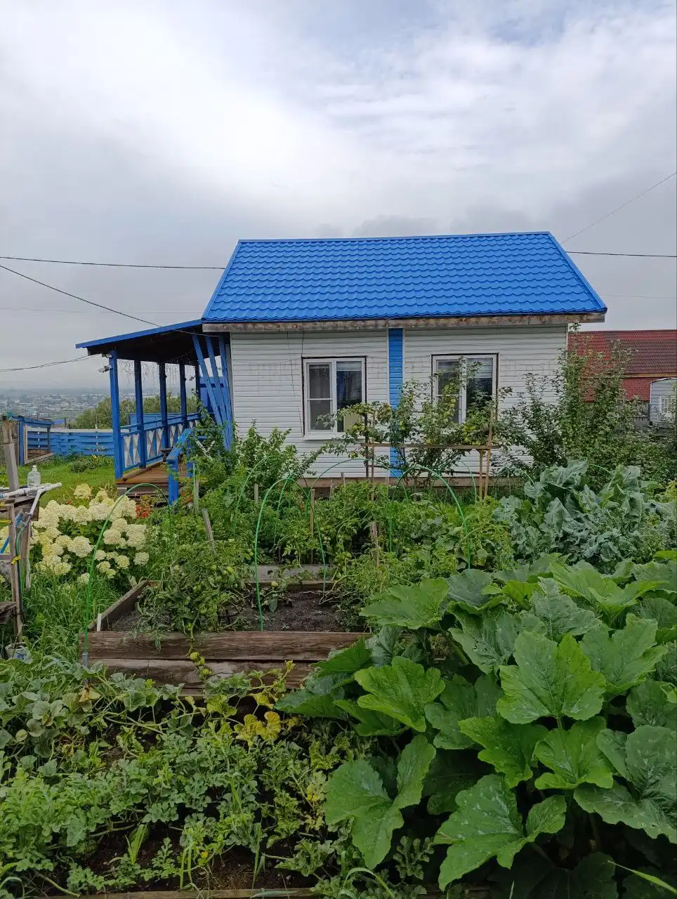 Продам компактный дом с участком и хозяйственными постройками в Березовке - Дома (Недвижимость) в Березовка