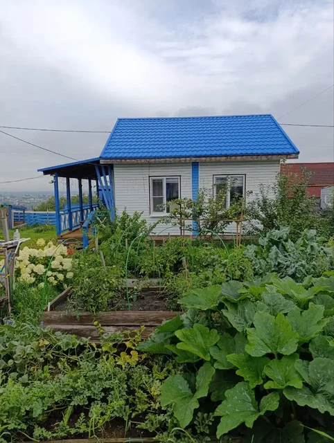 Продам компактный дом с участком и хозяйственными постройками в Березовке - частное объявление в Березовка