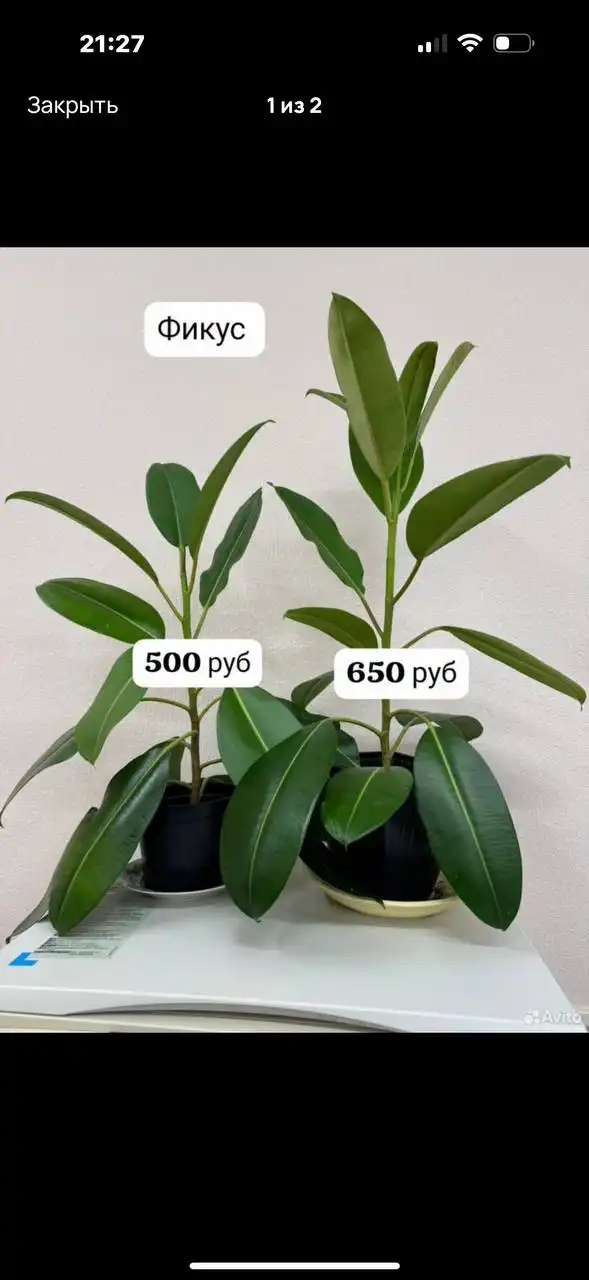 Мамина дача Уфа