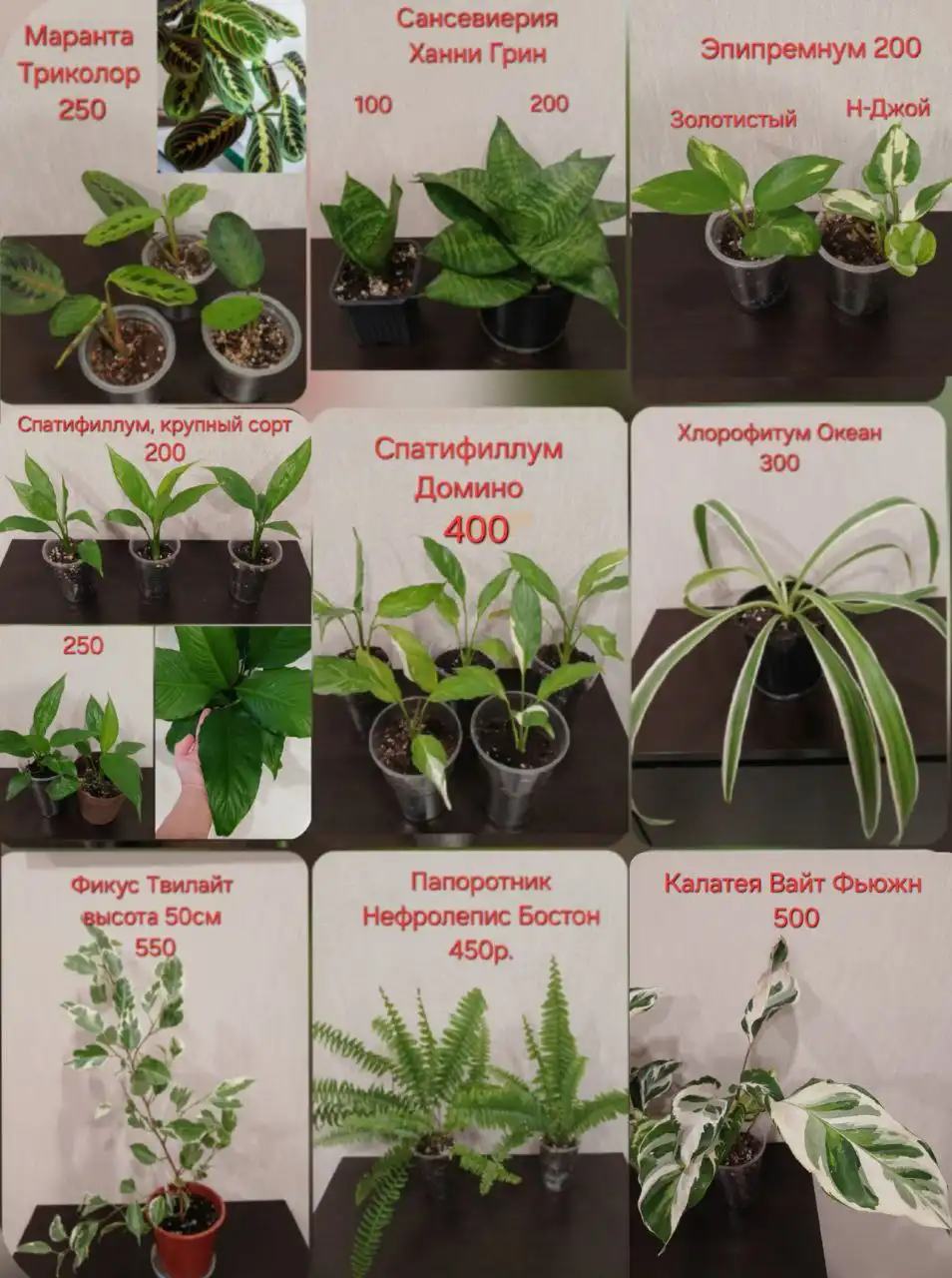 Мамина дача с растениями в Уфе