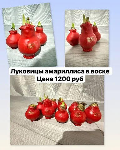 Продажа растений с маминой дачи в Уфе - Растения в Уфа