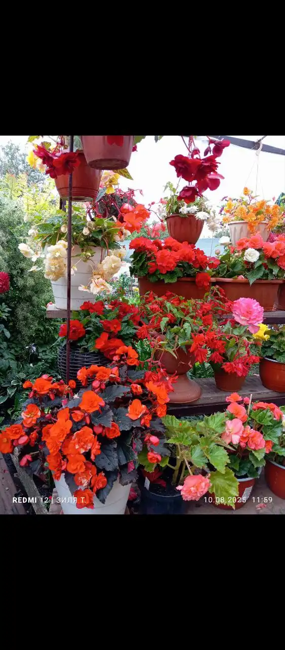 Мамина дача в Уфе - Дача (Недвижимость) в Уфа