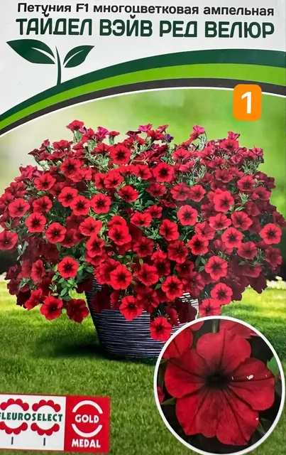 Петунии рассада к высадке - Религиозные предметы в Уфа