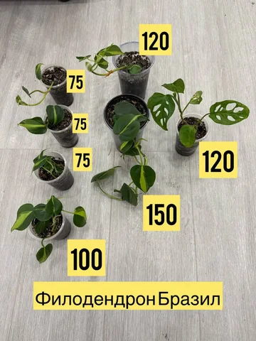 Мамина дача в Уфе - Недвижимость в Уфа