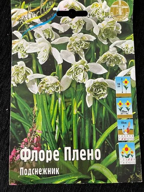 Растения с дачи в Уфе - Кулинария/Десерты в Уфа
