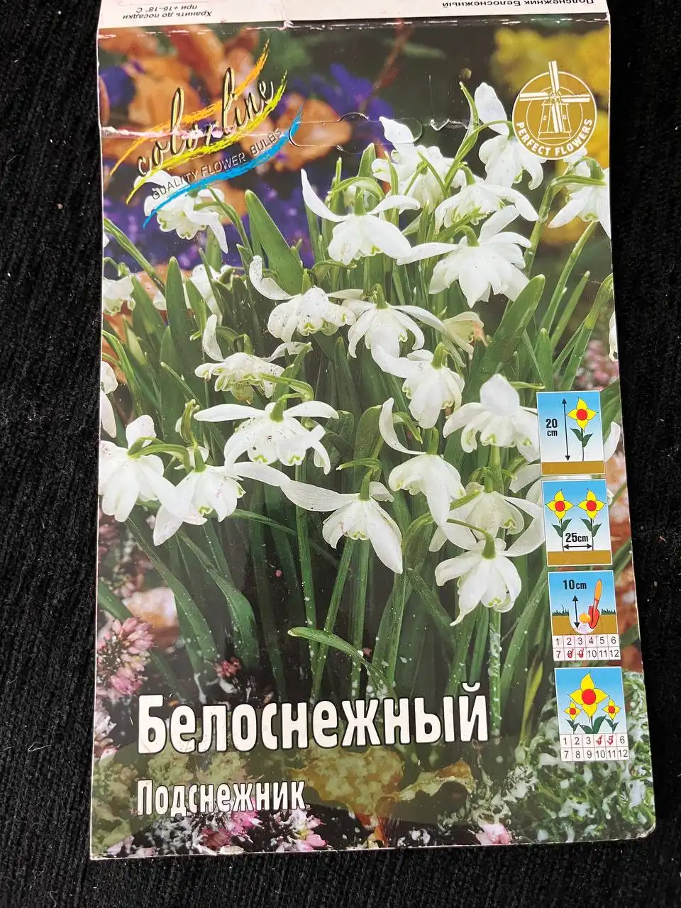 Растения с дачи в Уфе - Растения (Хобби и отдых) в Уфа