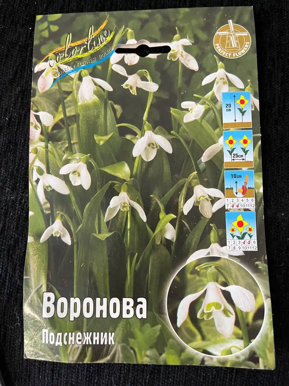 Растения с дачи в Уфе - Растения (Хобби и отдых) в Уфа