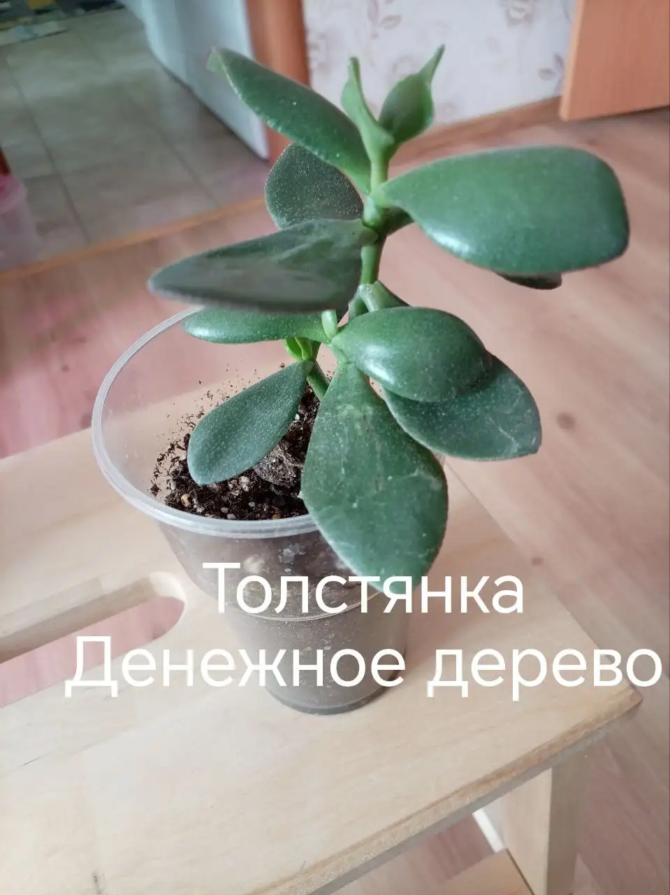 Продажа фотографий в Деме, Уфа - Хобби и отдых в Уфа