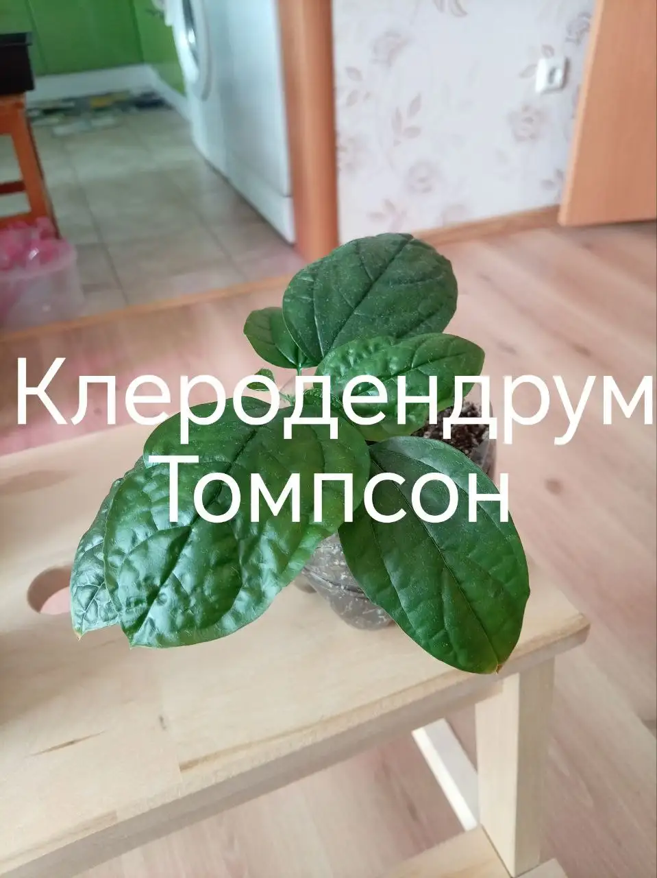 Продажа фотографий в Деме, Уфа - Хобби и отдых в Уфа