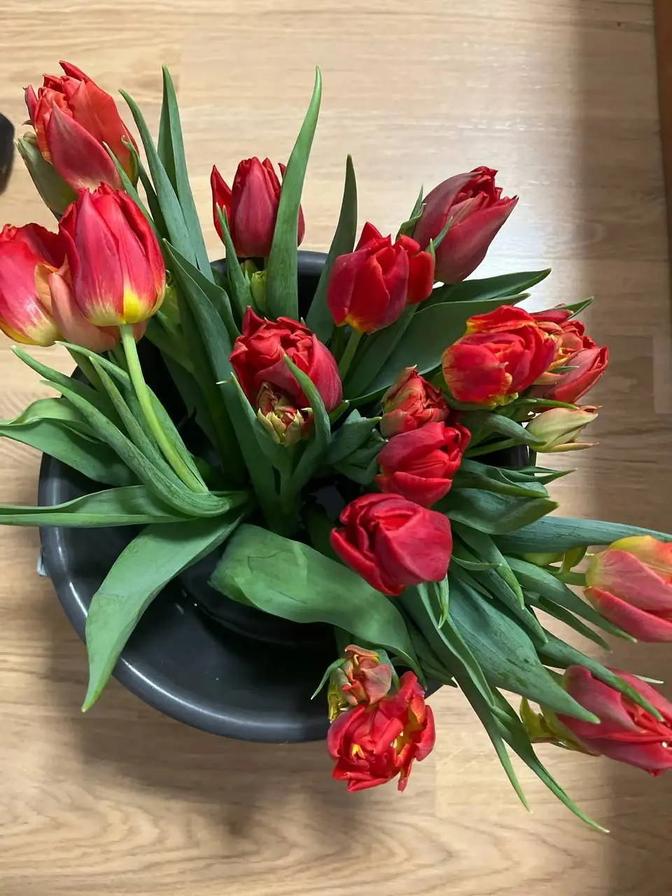 Яркие растения с маминой дачи в Уфе - Растения (Хобби и отдых) в Уфа