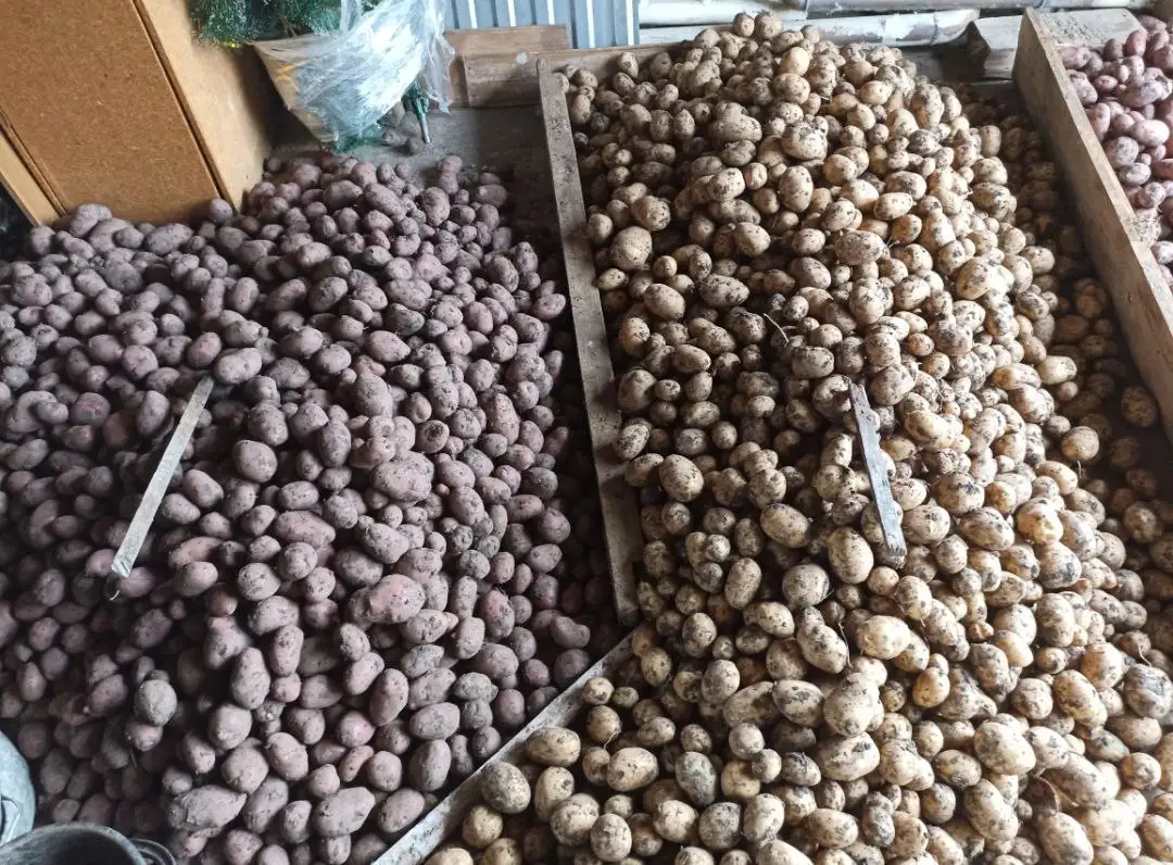 Продажа деревенского картофеля и овощей с доставкой в Уфе - Продукты питания (Барахолка) в Уфа