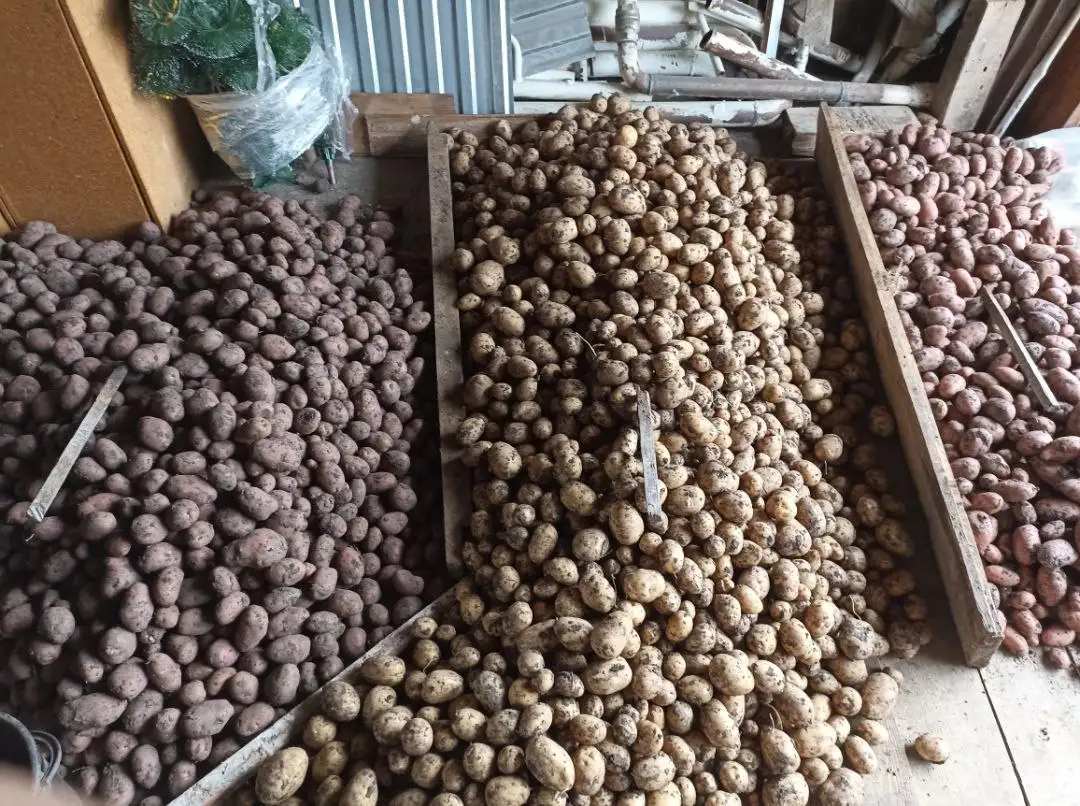 Продажа деревенского картофеля и овощей с доставкой в Уфе - Продукты питания (Барахолка) в Уфа