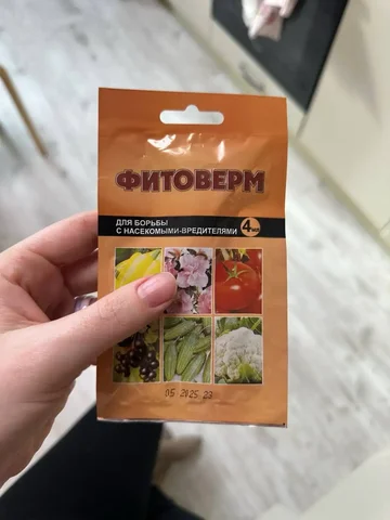 Вопрос о вредителях на фикусе и средстве для растений - Кальяны и аксессуары в Уфа