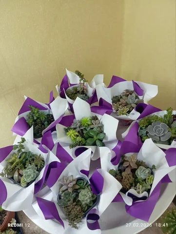 Оформление живых композиций из суккулентов и кактусов - Доставка цветов в Уфа