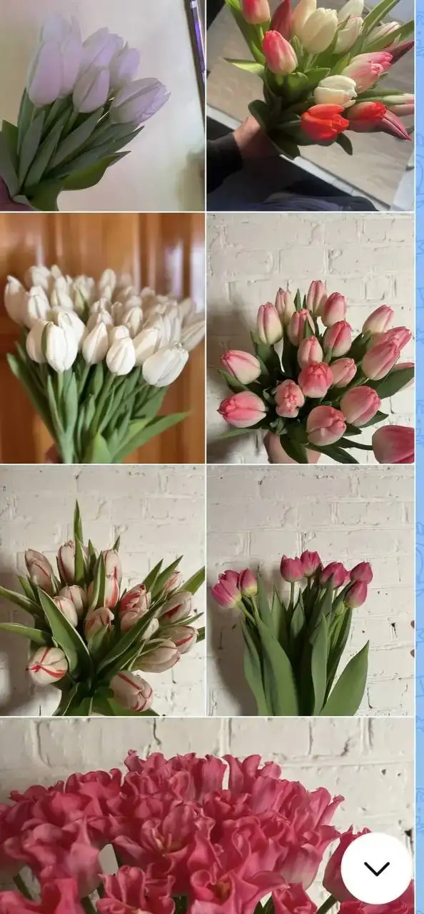 Мамина дача в Уфе - Дача (Недвижимость) в Уфа