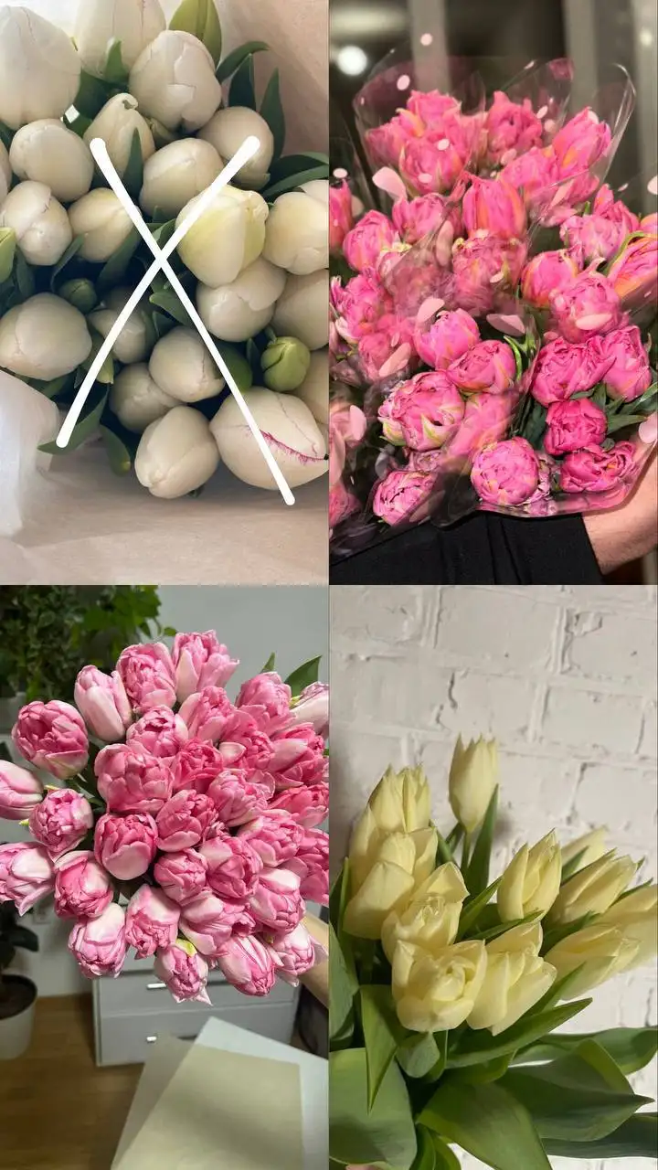 Продажа растений в Уфе - Растения (Хобби и отдых) в Уфа