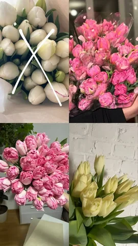 Продажа растений в Уфе - Велосипеды в Уфа