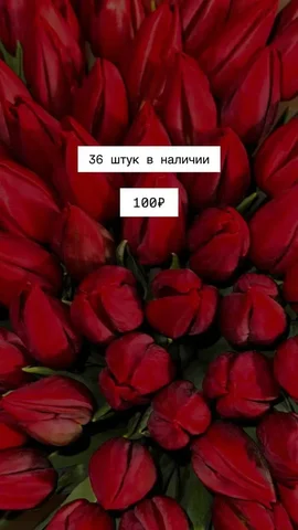 Мамина дача Уфа: растения крайняя срезка - Спортивная экипировка в Уфа