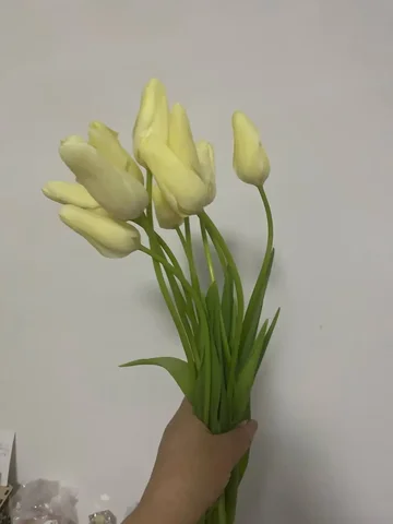 Свежая срезка растений в Уфе - частное объявление в Уфа