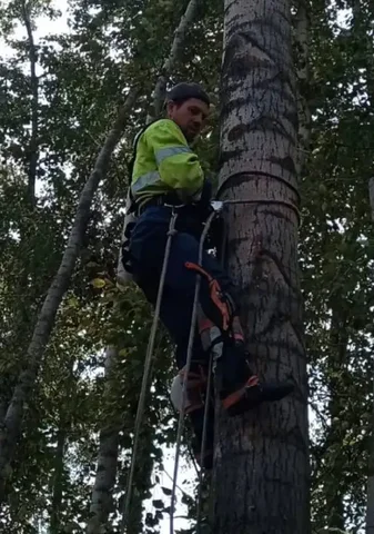 Удаление и кронирование деревьев в Уфе - Благоустройство территории в Уфа