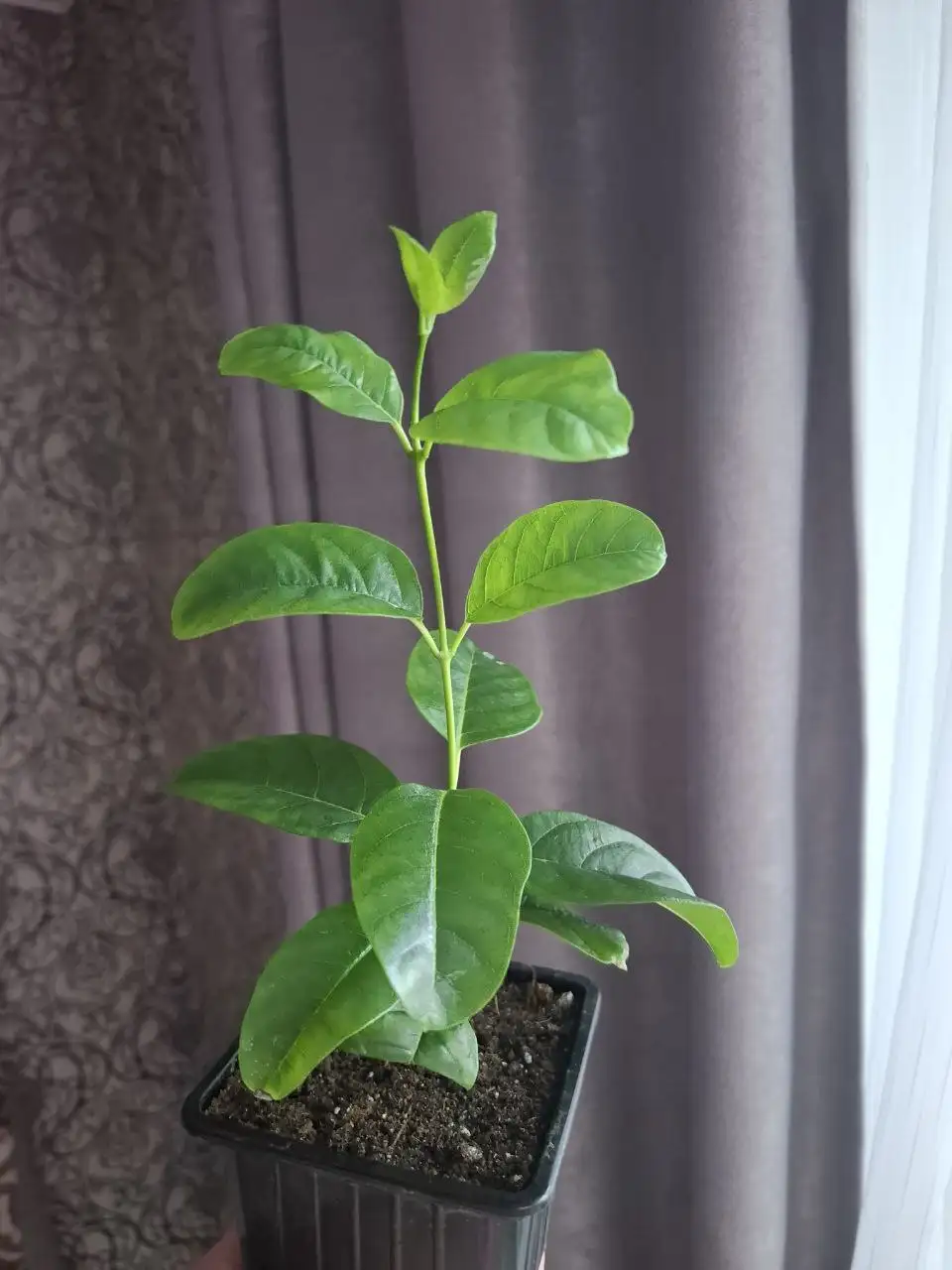 Продажа детской одежды в Ярком - Детская одежда (Одежда) в Уфа