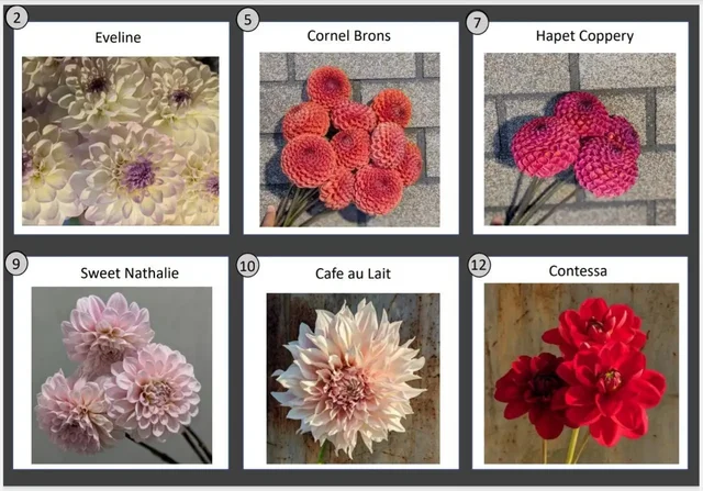 Предложение по георгинам - Пасхальные украшения в Уфа